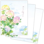 限定 便箋 夏 あじさい揺るる2 CEP-835-453