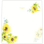 限定 便箋用封筒 夏 サンシャインフラワー CEE-835-507