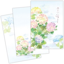 限定 葉書箋 夏 あじさい揺るる2 CCD-835-545