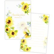 限定 葉書箋 夏 サンシャインフラワー CCD-835-569