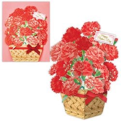 限定 母の日カード カゴラメカーネーション MAR-833-756