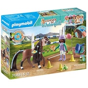 71355 [ホース・オブ・ウォーターフォール ゾーイと馬のブレイズとトーナメントエリア]