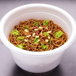 非売品 日清 焼きそばUFO 爆盛バーレル 特大リュックサック 非売品 日清 焼きそばUFO 爆盛バーレル 特大リュックサック