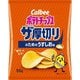 ポテトチップス ザ厚切りのためのうすしお味 55g