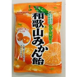 ヨドバシ.com - 川口製菓 和歌山みかん飴 100g 通販【全品無料配達】