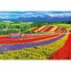 1000M-014 日本風景 美瑛の花咲く丘 （北海道） [ジグソーパズル 1000ピース]