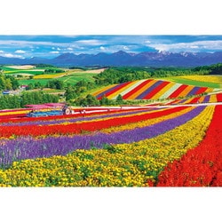 1000M-014 日本風景 美瑛の花咲く丘 （北海道） [ジグソーパズル 1000ピース]