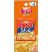 PIMW650 MW06 [お菓子 ワッペン ポテトチップス]