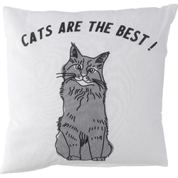 クッションカバー 45×45 CATS ARE BEST 63880