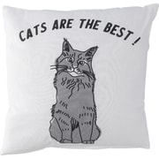 63880 [クッションカバー 45×45 CATS ARE BEST]