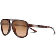 SANDY 218101311 TORTOISE(BROWN GRADIENT) [スポーツサングラス]