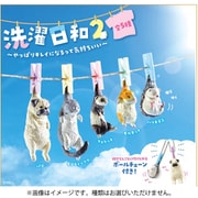 洗濯日和2 1個 [コレクショントイ]