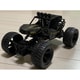 WILD OFF ROAD BUGGY BK
