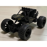 WILD OFF ROAD BUGGY BK