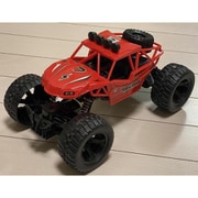 WILD OFF ROAD BUGGY RD