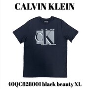 40QC828001 black beauty XL [メンズTシャツ 並行輸入品]