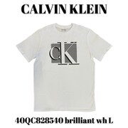 40QC828540 brilliant wh L [メンズTシャツ 並行輸入品]