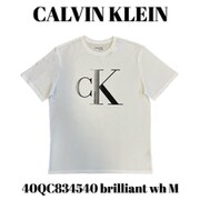 40QC834540 brilliant wh M [メンズTシャツ 並行輸入品]