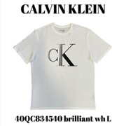 40QC834540 brilliant wh L [メンズTシャツ 並行輸入品]