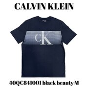 40QC841001 black beauty M [メンズTシャツ 並行輸入品]