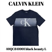 40QC841001 black beauty L [メンズTシャツ 並行輸入品]