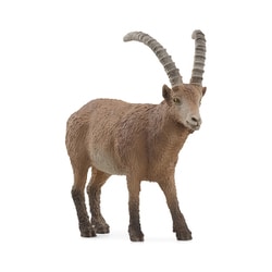 14873 [WILD LIFE アイベックス]