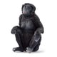 14875 [WILD LIFE ボノボ（メス）]