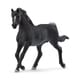 13981 [HORSE CLUB アラビア（オス）]