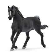 13981 [HORSE CLUB アラビア（オス）]