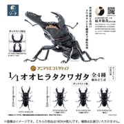 アニマリエコレクション 1/1 オオヒラタクワガタ ボックストイ版 1BOX（4個入） [コレクショントイ]
