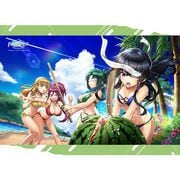 ドルフィンウェーブ B2タペストリー スイカ割り対決 [キャラクターグッズ]