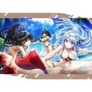 ドルフィンウェーブ B2タペストリー ビーチフラッグ対決！ [キャラクターグッズ]