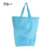 9025-00 [コンパクトエコバッグ 17L ブルー]