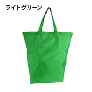9025-00 [コンパクトエコバッグ 17L ライトグリーン]