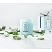 ソイキャンドル 180g NATURA ~ アロマ 聞香 ~ アロエ