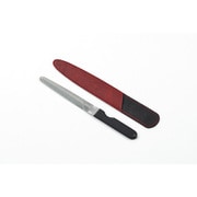 ケース:赤 NAIL FILE 爪ヤスリ 甲丸型 カーブ付 0188011