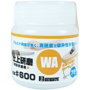 48795 [微粉研磨剤 WA仕上研磨 75g #600]