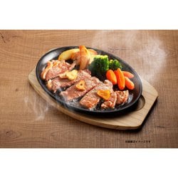 注目ショップ・ブランドのギフト イシガキ - ヨドバシ.com 鉄鋳物 通販 4545 2枚 大判ステーキ皿 調理器具