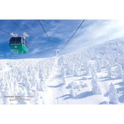 300-390 シリーズ・日本の都市34 山形県山形市「山形蔵王スノーモンスター」 [ジグソーパズル 300ピース]