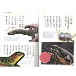 東京堂出版/【バーゲンブック】ヒョウモンフトアゴの飼い方育て方