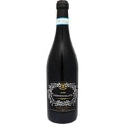 トルディジガンディ アパッシート 750ml イタリア/シチリア [赤ワイン]