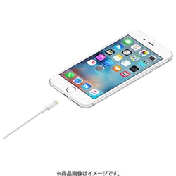 Apple iPhone 8 ゴールド 本体とUSBケーブル Apple MFI 認証 充電ケーブル iPhone8 8Plus iPhoneX iphone7