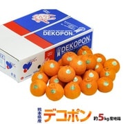 熊本県産 デコポン 無印 約5kg（18～24玉） 産地箱 風袋込 [産地直送品 ご注文受付は2025年4月28日（月）決済完了分まで]