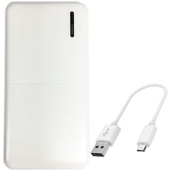 6151 [岡潮 USBモバイルバッテリー10,000mAh （USB-C/microUSB）]