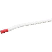 6300023904 [グリーンクロス クレモナSロープ 50m巻 10mm]