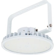日動 ハイスペックハイディスク200W 電源装置内蔵型 昼白色 吊下げ型 ワイド L200B-P-H110-50K