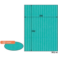 RB02 [ヒサゴ リップルボード/スカイ]