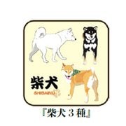 000601-0018-01 [和柄 ハンカチ 柴犬3種 約20cm×20cm]