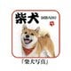 和柄 ハンカチ 柴犬写真 約20cm×20cm 000601-0030-01