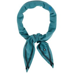 アルヴィス スカーフ Allvis Scarf 10385 629 Teal Blue [アウトドア スカーフ]